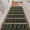 Black-butterfly, variant on Insect Print Stair Treads Non-Slip Stair Runners for Wooden Steps Indoor 15PCS 30"x8" Carpet Stair Treads Mats Staircase Step Treads for Kids, Elders and Dogs, Stair Covers, Beige