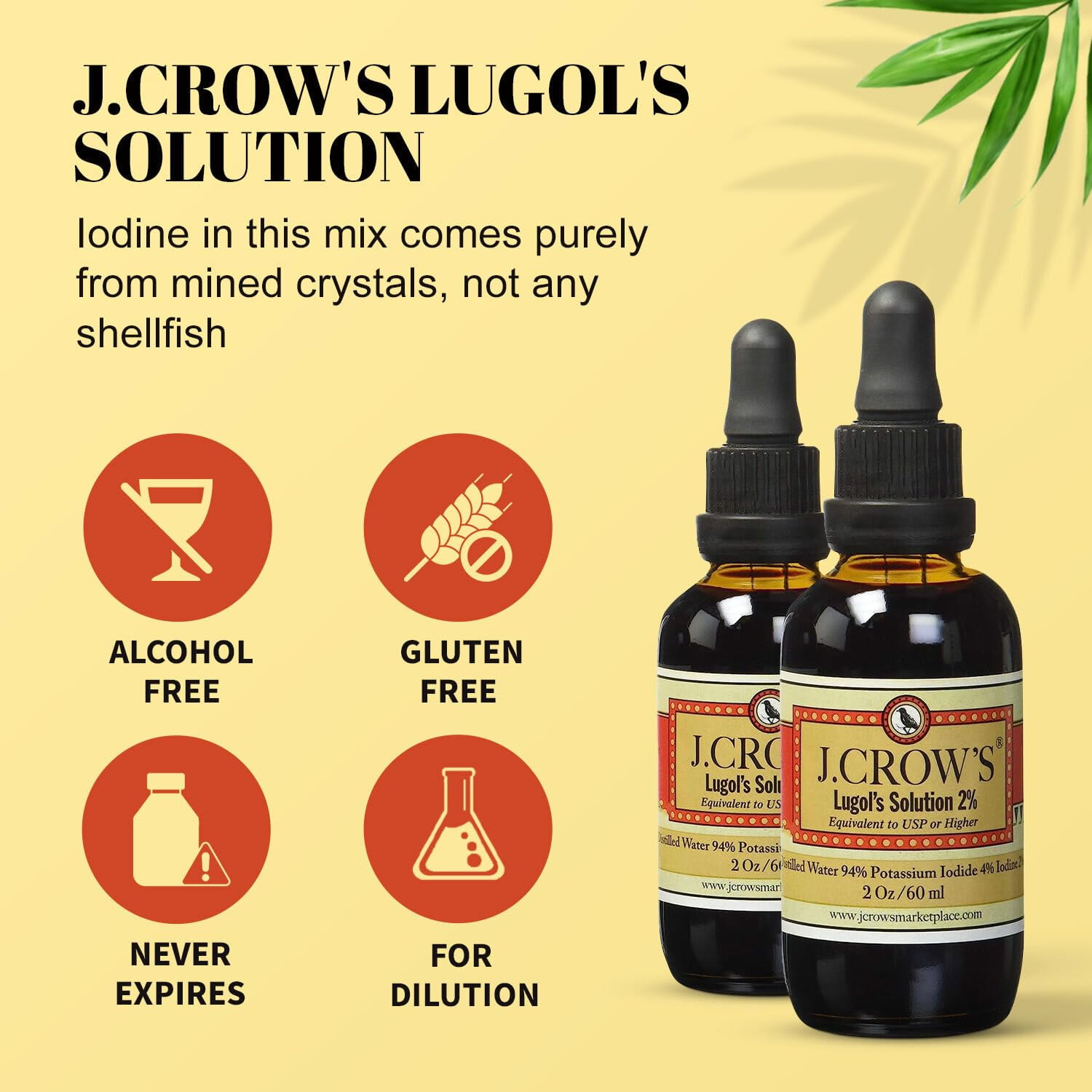 12-Pack J. Crow's Lugol's Solution 2% - 2 fl oz