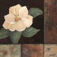 thumbnail image 3 of Bagnato, Judi 20x20 Black Modern Framed Museum Art Print Titled - Magnolia Breeze II, 3 of 5