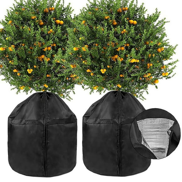 Cubierta aislante para jardín transpirable y absorbente de agua, resistente al frío y a las heladas, para árboles frutales, duradera y protectora para la vegetación.