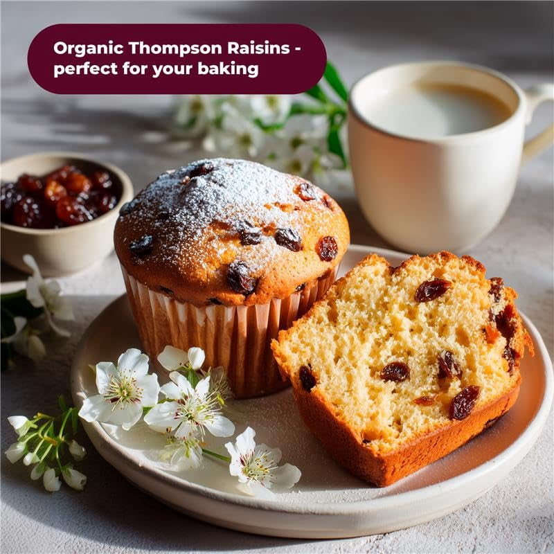 Organic Thompson Raisins – Naturally Sweet, Seedless, Sun-Dried, Non-GMO, Healthy Snack & Baking Ingredient –Jumbo Raisins- 2 lbs