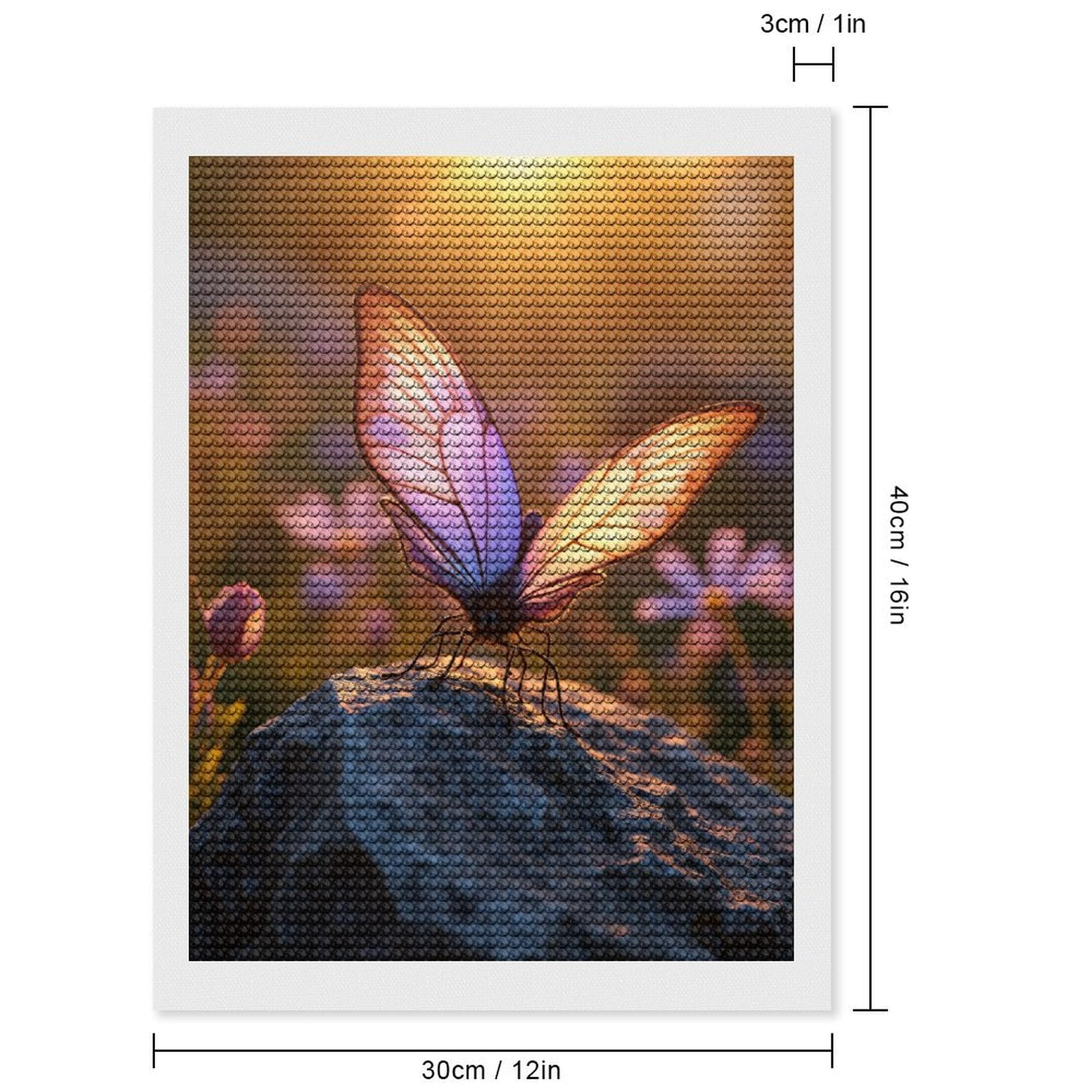 Diamond Art Kits for Adults, Sunlit Butterfly On Rock 5D Diamond Painting Kits for Adults Beginners, DIY Full Drill Diamond Painting, Gem Art and Crafts 12x16
