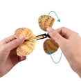 thumbnail image 4 of 10PCS Flying Butterfly Funny Fairy Magic Butterfly Tricky Surprise Toy Kids Toy, 4 of 9