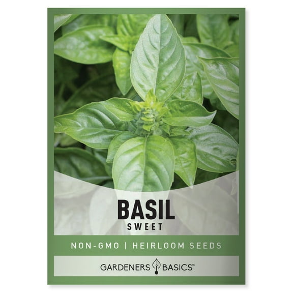 Sweet Basil Seeds
