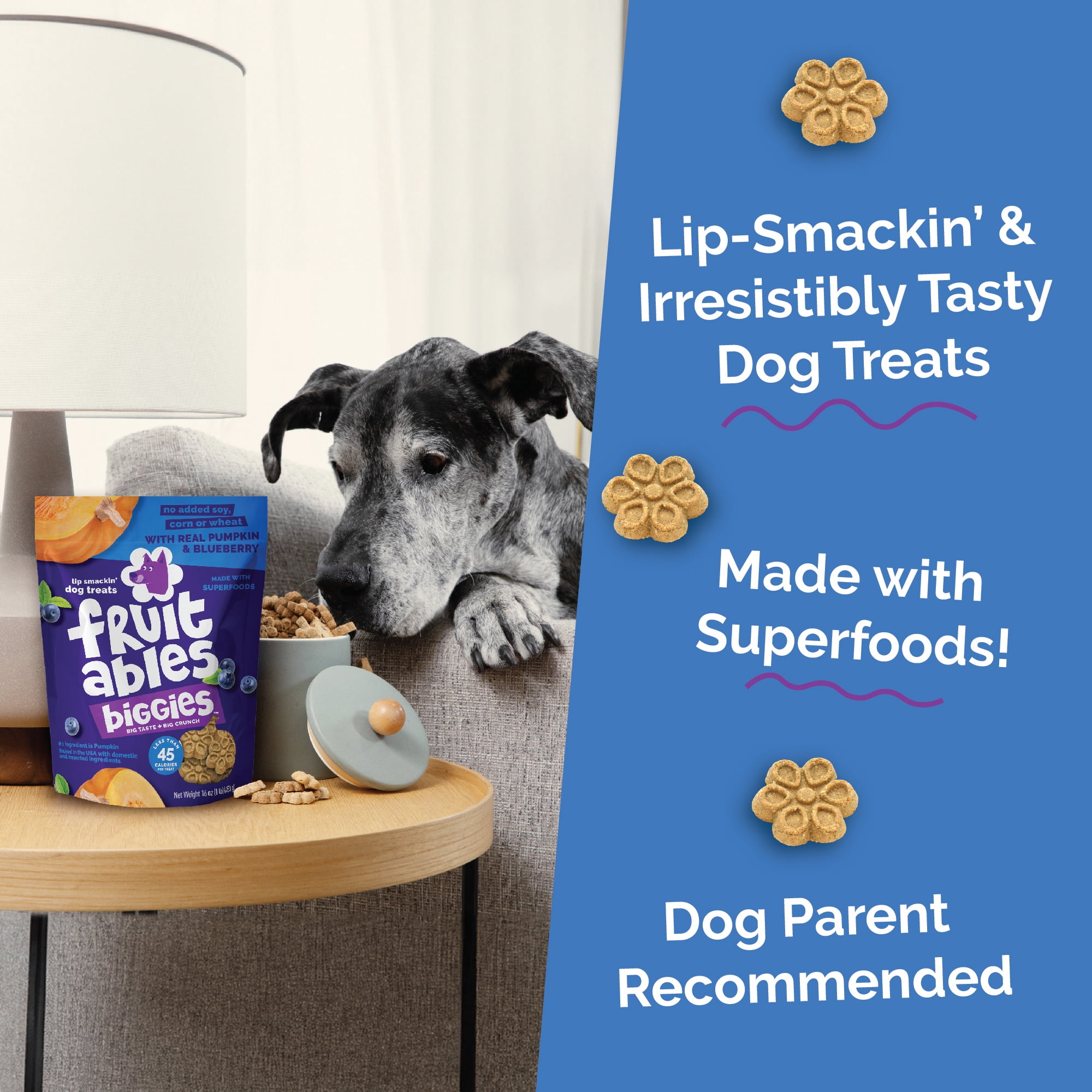 Fruitables Biggies Pumpkin & Blueberry Treats for Dogs - 16 Ounces