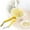 Jaune, variante sur Pinces Alimentaires Multifonctionnelles, Retire-Yeux d'Ananas, Videur Trancheur en Acier Inoxydable, Outil pour Fraises, Cuisine pour une Préparation des Aliments Facile