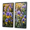 thumbnail image 3 of Designart "Natural Beauty of Purple and Yellow Pansies IV" Floral Framed Wall Art Set Of 2 - Purple Floral Framed Wall Art Set Of 2, 3 of 7
