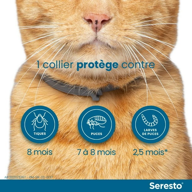 Seresto collar cat walmart 2025