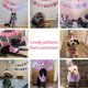 thumbnail image 3 of Conjunto de pañuelos, gorros, pajaritas y banderines triangulares para fiestas de cumpleaños de perros y gatos (azul), 3 of 5