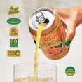thumbnail image 5 of De La Calle Tepache, Mixta Variety Pack, Modern Mexican Soda, 12-Pack, 5 of 6