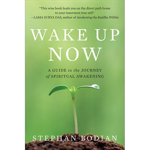 Wake Up Now, (Paperback)