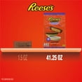 thumbnail image 6 of Reese's Assorted Peanut Butter Snack Size Halloween Candy, Bulk Bag 41.25 oz, 75 Pieces, 6 of 8