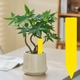 thumbnail image 2 of Single-Character Garden Marker, 1.97 x 0.39 inch Waterproof Plastic Label Stake for Herb Pots, Cactus Containers, Trays, Greenhouse Displays and Outdoor Organization, Yellow, 2 of 7