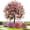 Pink, variant on Artificial Violet For Outdoor Indoor Garden Home Decoration, Uv Resistant & Waterproof Artificial Flower Decor, 23" Ground Insert Faux Violet Flowers For Porch Patio Garden Home Yard