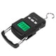 thumbnail image 5 of Báscula Colgante, Báscula De Pesca Con Retroiluminación LED, Cinta Métrica Portátil, Accesorio De Cocina De 75 Kg Para Restaurante, Entrega Urgente, Equipaje, Pesca En Casa ZAQW Portable Electronic Scale, 5 of 8