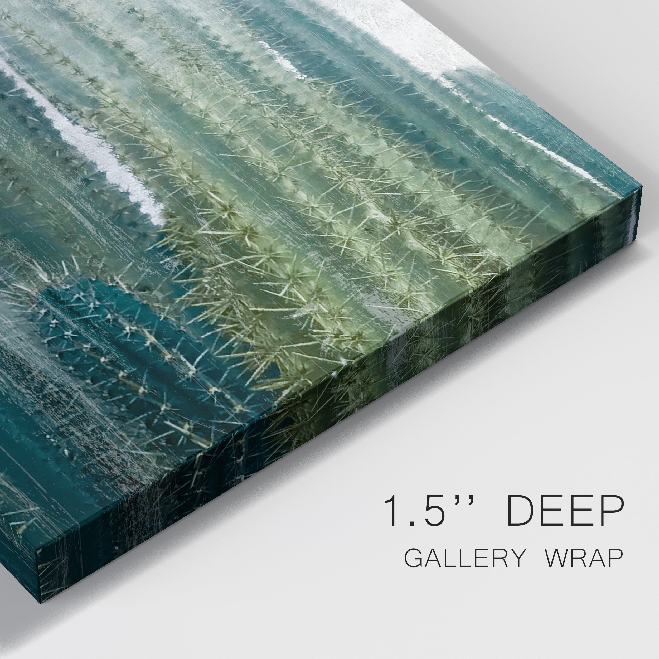 Aruba Cacti II Premium Gallery Wrapped Canvas - Ready to Hang - 32 x 48