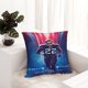 thumbnail image 1 of Funda de almohada decorativa universal de felpa Titans Four Seasons, funda de almohada cuadrada, funda de almohada para automóvil adecuada para cama, sofá, sala de estar, regalo unisex, 1 of 8