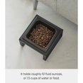 thumbnail image 2 of Yamazaki Home Single Pet Food Bowl - Two Styles, Steel and Ceramic, Short, 1.25 Black, 2 of 5