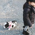 thumbnail image 4 of Juego de 8 globos para perros y mascotas que caminan, 4 of 5