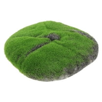 PTOOTP 1Pack Micro Landscape Moss Green Color for and Garden Enthusiasts in Mini Gardens