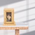 thumbnail image 4 of BESTYASH 1 Set Simple Style Wooden Pet Ashes Urn for Cat Ashes Storage Funeral, 4 of 5