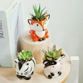 thumbnail image 4 of Cute Animal Ceramics Planter Small Succulent Pot Cartoon Shaped Plant Pot for Mini Plants Flower Cactus, Smooth Shiny Ceramic - Plants Not Included (Leopard cat), 4 of 6