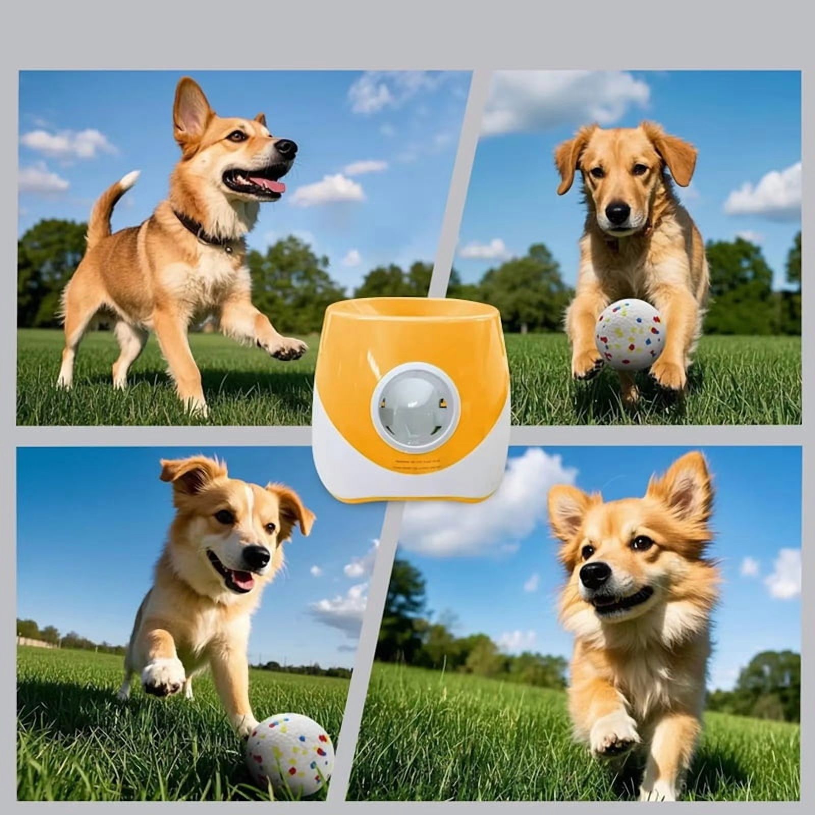 Dog Toys Automatic Tennis Ball Launcher for Medium to Large Dogs, Outdoor Exercise & Training, Perfect Home Dog Toys,1 x Tennis Ball Launcher 1 x USB cable 3 x ball,Orange
