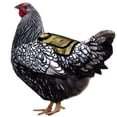 thumbnail image 3 of Billuyoard Monturas de pollo con correa ajustable Protector de alas de montura de para espalda y costados Juegos de accesorios de baño No.2 Billuyoard HA044940-02, 3 of 6