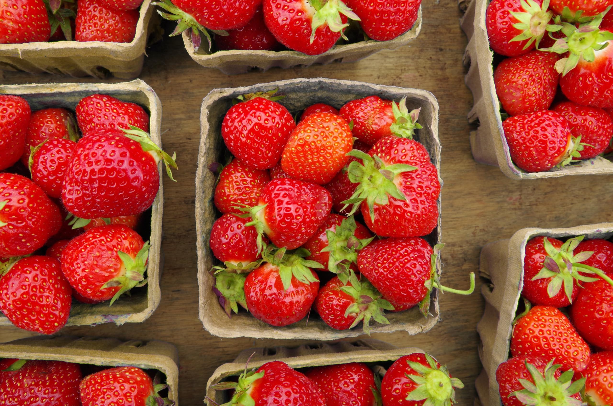 40 Pack Natural Berry Basket 1 Pint, Pulp Fiber Vented Produce Containers Farmers Market Basket, Fruit & Vegetable Containers