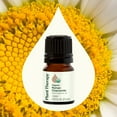 thumbnail image 3 of Plant Therapy Organic Roman Chamomile Essential Oil 2.5 mL (1/12 oz) 100% Pure, Undiluted, Natural Aromatherapy, 3 of 9