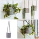 thumbnail image 5 of 1 unid colgando cuerda plantador canasta jardinería planta verde maceta colgando cesta, 5 of 5