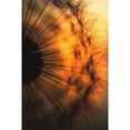 thumbnail image 3 of Siegers, Ricky 11x14 Black Modern Framed Museum Art Print Titled - Sunset, 3 of 5