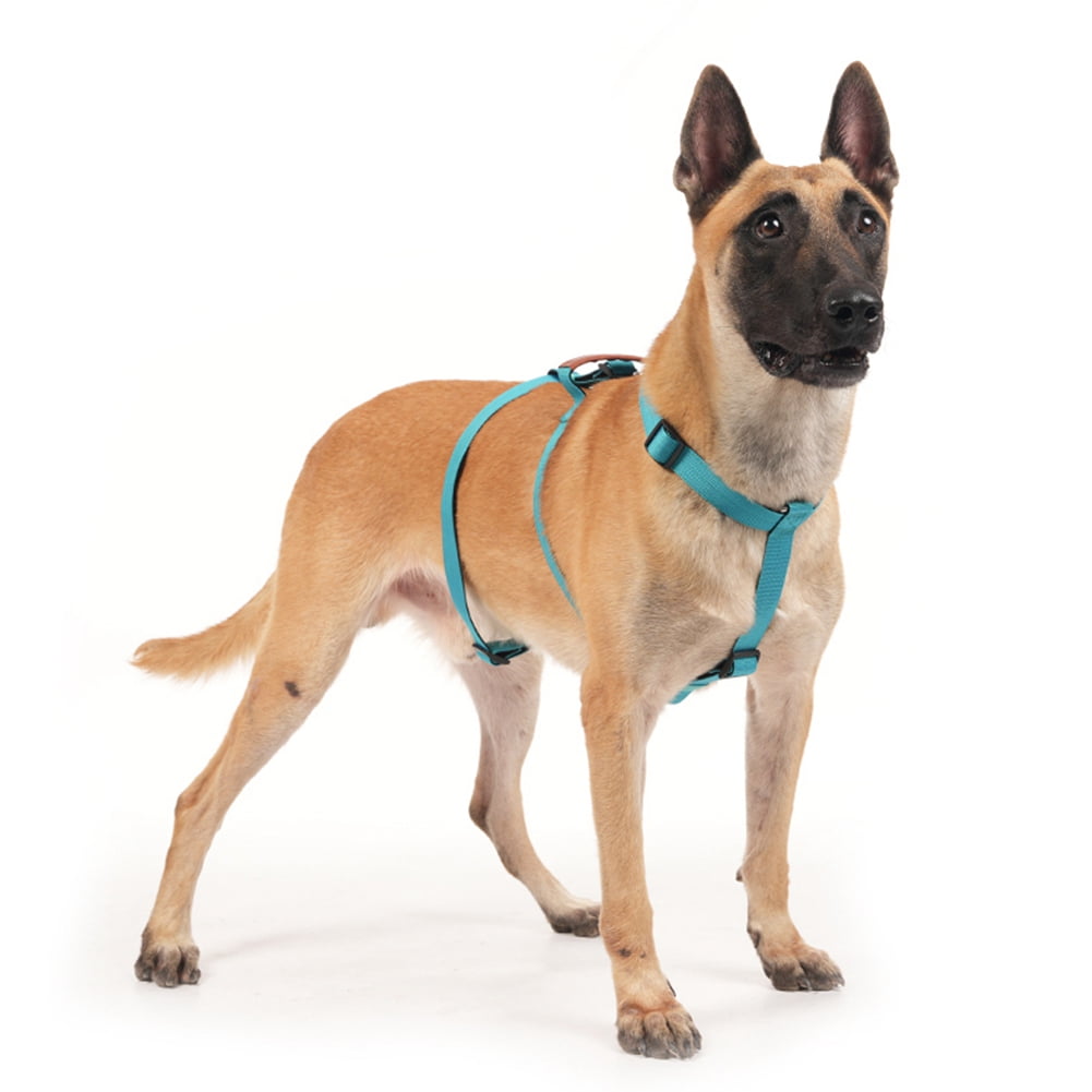 Escape Proof Dog Harness, No Pull Harness with Lift Handle, Adjustable Pet Vest with Front and Back Leash Clips for Medium Large Dogs Walking Hiking Training