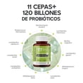 thumbnail image 4 of Probióticos 120 Billones 11 Cepas + Prebióticos | MEGABIOTIC | 30 Cápsulas | Mezcla Prebióticos, Probióticos, Inulina de Agave y Aloe Vera | 30 Porciones MEGABIOTIC Probióticos 120Billone, 4 of 5