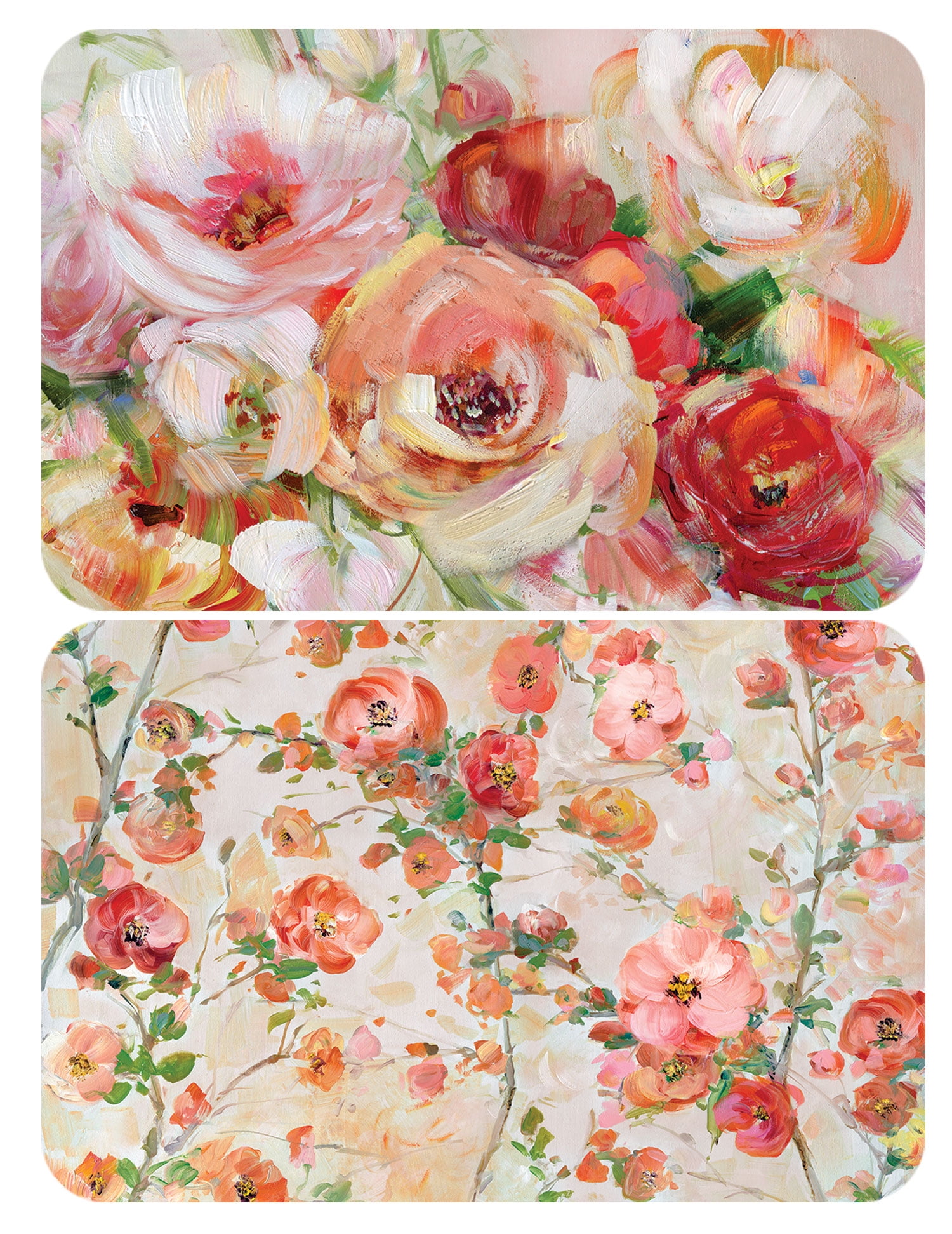 Reversible Placemats Plastic  17" x 11" in  set of 6 BIUSH FLORAL