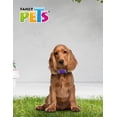 thumbnail image 5 of COLLAR MED AQUA POP P/PERRO GALERIA, 5 of 5