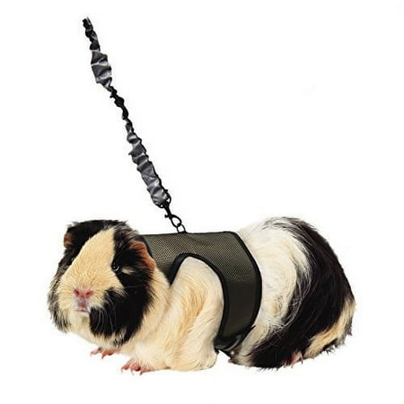 UPC: 0045125622942 | Kaytee Comfort Harness & Stretchy Stroller Large