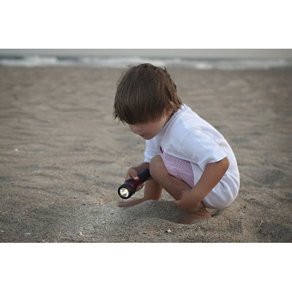 Value Bright 2AA Flashlight