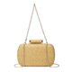 thumbnail image 4 of Bolso Mano Paja para Mujer Con Correa Cadena Bolso Diario Verano para Mujer (dorado), 4 of 9