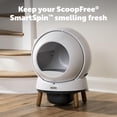thumbnail image 2 of Desodorizantes para caja de arena SmartSpin de PetSafe ScoopFree (paquete de 2), 2 of 5