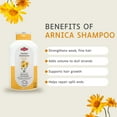 thumbnail image 4 of Otaci Arnica Shampoo – Volume & Strength Boost | Klear Store, 4 of 5