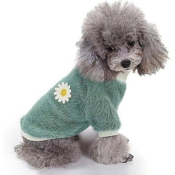 Pull pour chaton hotsell