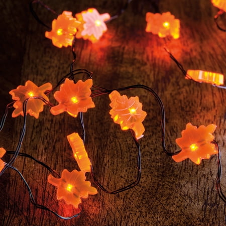 Fall Leaf Wire Light 20 Plastic Autumn Battery Powered 29308 price history on PriceWatchPro