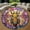 Honey Bee1, variant on Circle Area Rug, Phoenix Dragon Animal Lover Gift Washable Non-Slip Floor Carpet, Soft Rug for Living Room Bedroom Decor 24 Inch