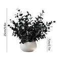 thumbnail image 3 of chaungfeng 9.8 Inches Small Fake Eucalyptus Plant, Artificial Potted Plants Indoor for Desk, Shelf, Home Decor, Realistic Faux Plant for Office, Bathroom/Living Room Decoration (Black), 3 of 6