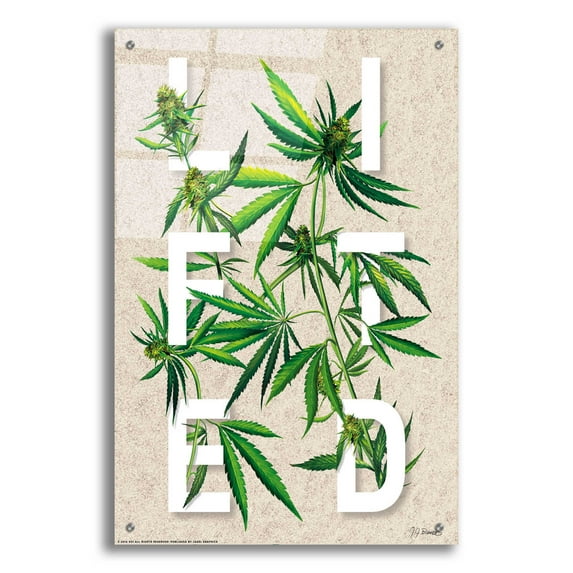 Epic Art 'Lifted' by JJ Brando, Acrylic Glass Wall Art, 24"x36"