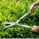 thumbnail image 5 of Pruning Shears Hedge Shears Non-Slip Handle Branches Tree Grafting Trimmer Garden Cutting Tool Greening Tools Hedge Shaping, 5 of 5
