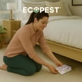 thumbnail image 2 of Carpet Beetle Traps – 20 Pack | Sticky Indoor Glue Boards for Carpet Beetles, Larvae & Other Crawling Insects | Non-Toxic Pest Control Trap & Monitor for Closets, Storage Areas, and More, 2 of 10