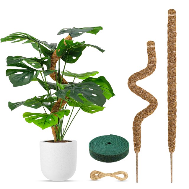Poste de musgo flexible para plantas – 28 pulgadas (paquete de 2) – Soporte para escalada y crecimiento de plantas – Eleva tu jardín interior