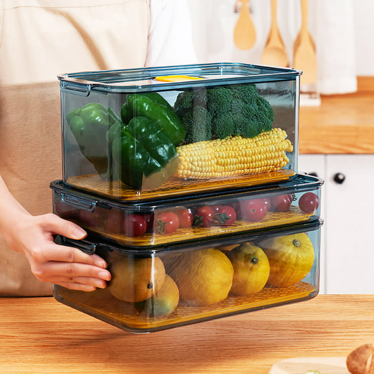 SANNO Fridge Produce Saver Food Storage Bin Containers, Refrigerator Food  Fruit Vegetables storage Produce Saver Produce Saver Containers, Stackable